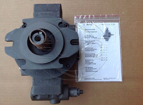 Hydraulic Pump