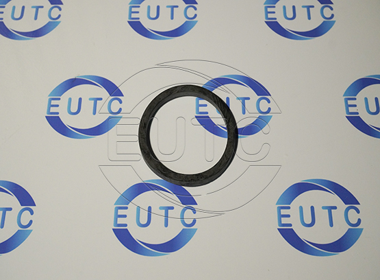GASKET DN 50 NO. 11104 EPDMDIN 11851