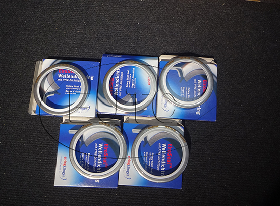 WELLENDICHTRING MIT PTFE-DICHTLIPPE