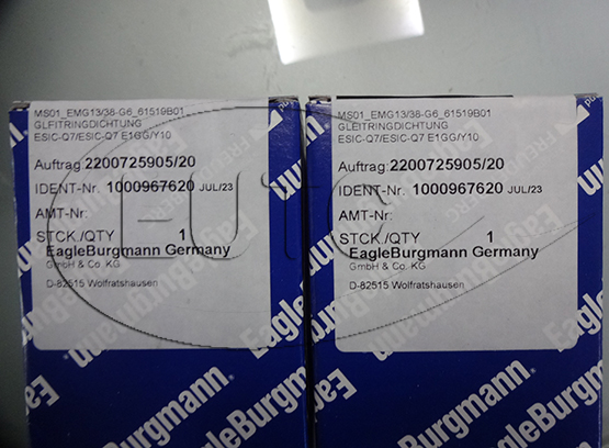 Sealing seal: EMG13/38-G6 ESIC-Q7/ESIC-Q7 E1GG/Y10