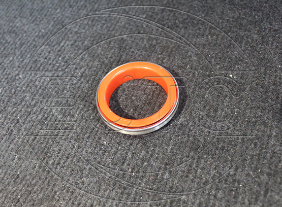Oil Seal