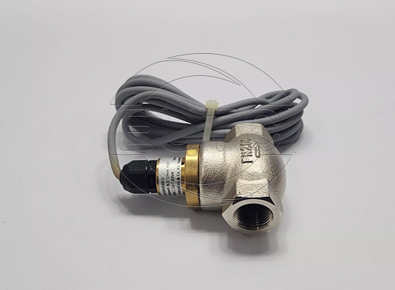 Flow Switch
