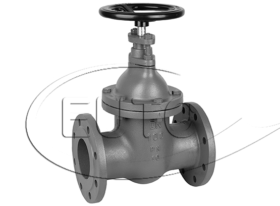 Valve DN20 GJL-250, SN: 500815441