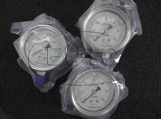 GAUGE 4IN BSP 0-6 BAR