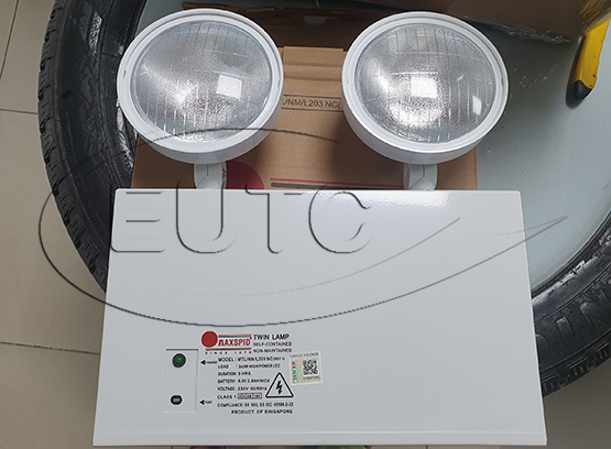 Đèn sự cố gắn nổi Trần/ Tường bóng LED 2x3W có kèm Bộ lưu điện > 3 giờ.Có tem PCCC