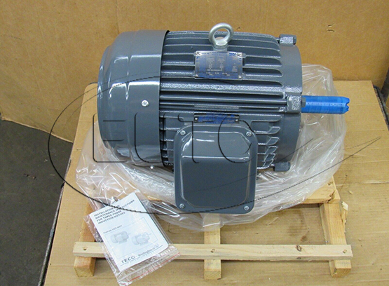 Động cơ điện Teco 3HP
