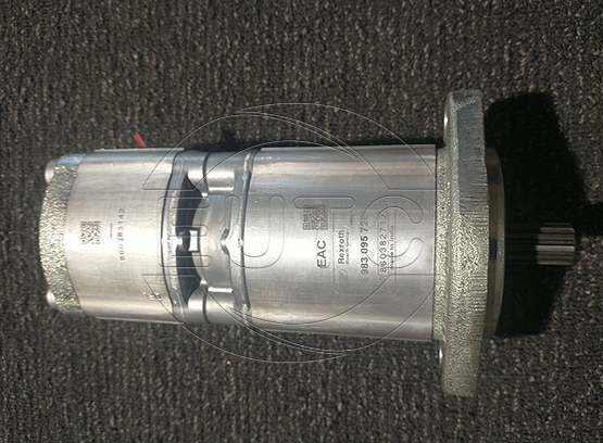 Hydraulic Pump