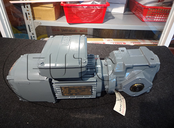 Helical-worm gearmotor